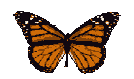 The thyroid is a butterfly-shaped gland